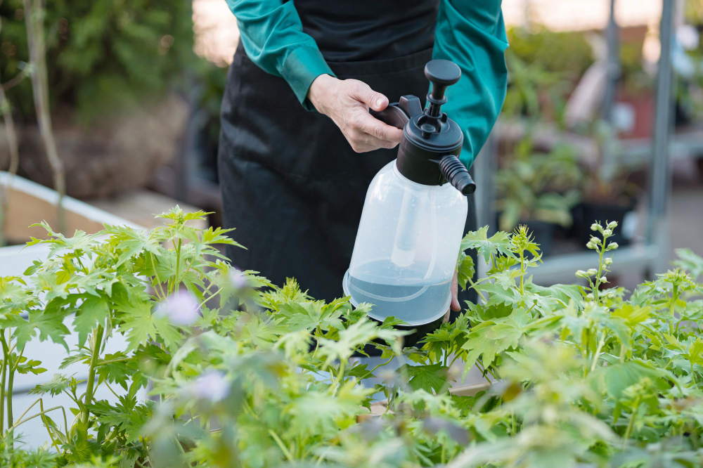 Utilizarea fungicidelor sistemice pe bază de cupru în grădină